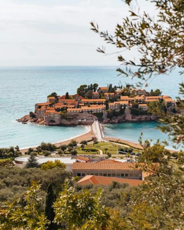 pexels-roman-odintsov-5667726